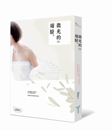 微光的翅膀[二手書_良好]