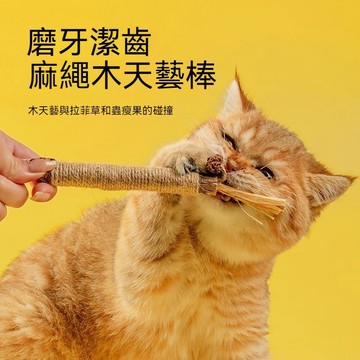 台灣現貨 木天蓼 貓咪磨牙棒 貓咪磨牙玩具 逗貓玩具 天然草本貓玩具 木天蓼麻繩棒 貓草玩具 貓咪用品 寵物用品