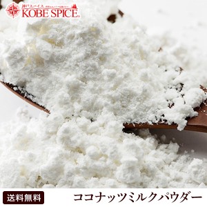 ココナッツミルクパウダー 1000g   1kg Coconut Milk Powder 業務用  常温便　  ケトン体 ココナッツミルク パウダー 粉末 ココナッツ,手