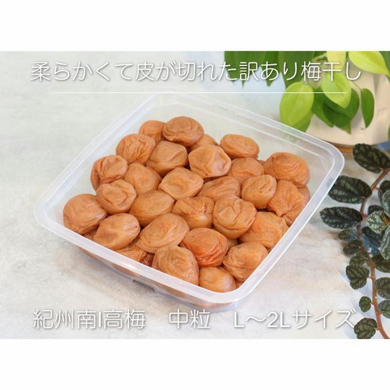 ノン⭐︎しょっぱくて酸っぱい無添加梅干し 無添加梅干し 訳あり 900g 昔ながらのすっぱい、しょっぱい梅干