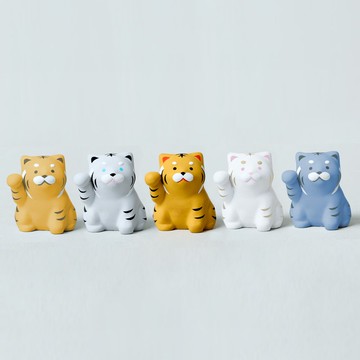 bengal tiger ✕ white tiger