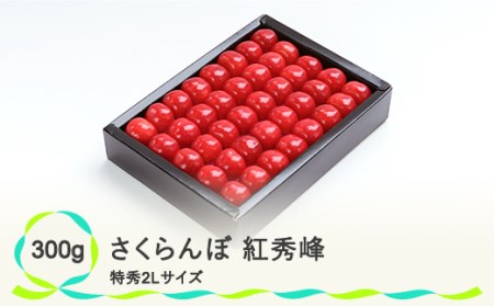 先行予約 さくらんぼ 紅秀峰 特秀2Lサイズ 300g 化粧箱鏡詰め 2024年産 令和6年産 山形県産 ns-bst2x300