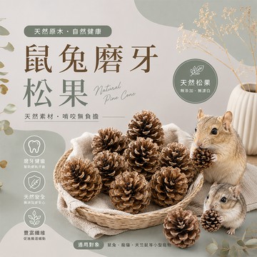 小寵物磨牙松果 小松果 鼠兔磨牙玩具 小寵用品 鼠兔玩具 大松果 超長松果 小寵玩具  小動物玩具【20048】