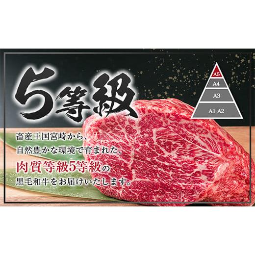 ふるさと納税 宮崎県 日南市 数量限定「5等級黒毛和牛モモスライス」計1kg 肉 牛 牛肉 国産 すき焼き しゃぶしゃぶ 配送月が選べる_CB74-23…