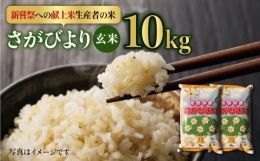 令和5年産 新米 さがびより 玄米 10kg 5kg×2 [HAP012]