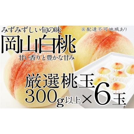 ふるさと納税 桃 2024年 先行予約 岡山の白桃 300g以上×6玉 白桃 旬 みずみずしい 晴れの国 おかやま 岡山県産 フルーツ王国 果物王国 岡山県瀬戸内市