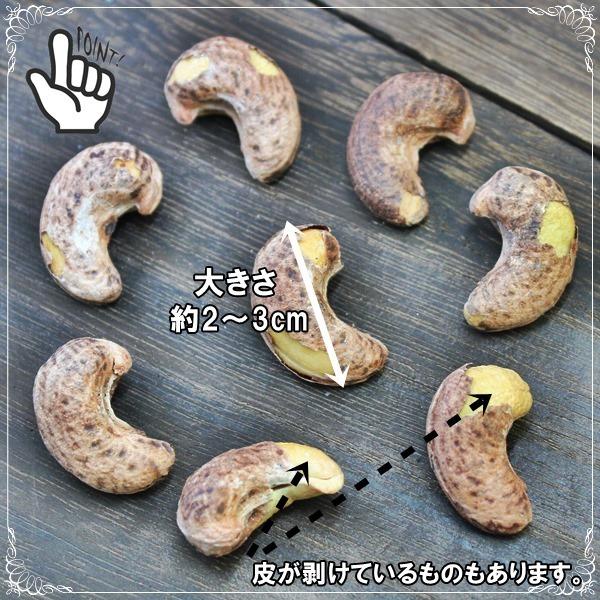 おつまみ 皮付きカシューナッツ 500ｇ うす塩味 カリカリ食感のナッツ ネコポス便発送