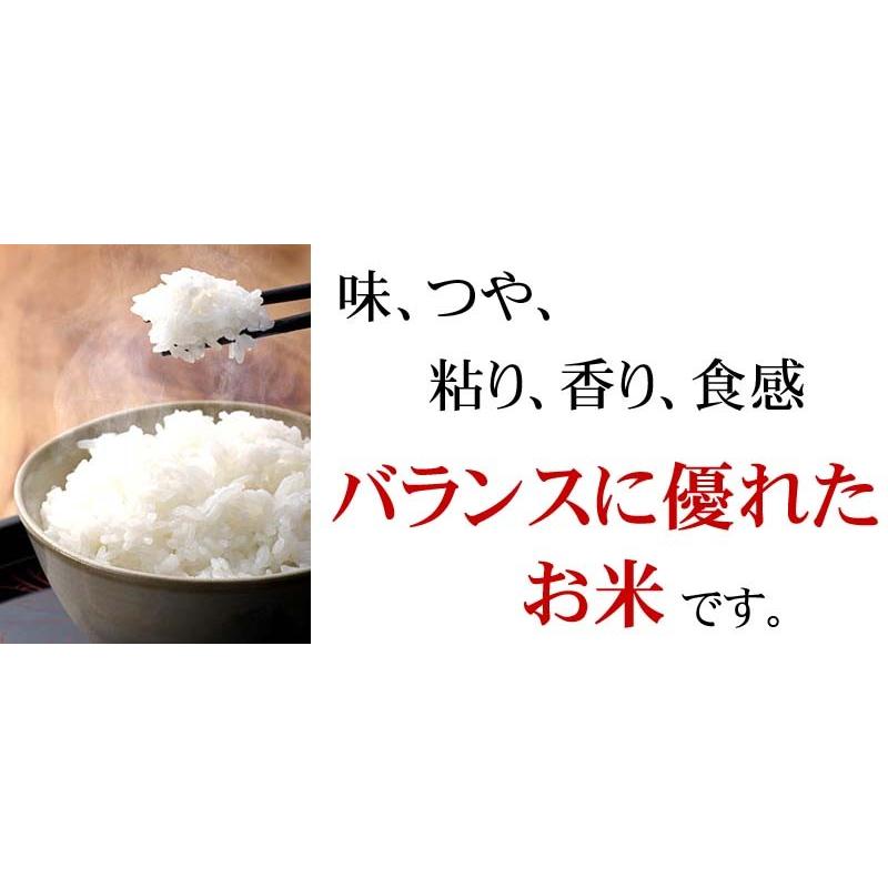 (送料無料)令和5年度 新米 北海道産ななつぼし 5kg 白米、精米　つや、粘り、甘みがバランス良くまとまった和食に合うお米、特A評価のナナツボシです(ギフト)