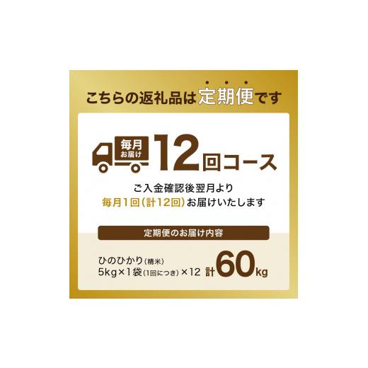 ふるさと納税 京都府 木津川市 木津川市お米60kg（5kg×12回）