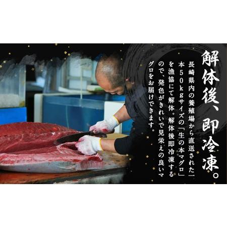 ふるさと納税 長崎県産 本マグロ「中トロ」約700g  生食用 長崎県時津町