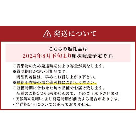 ふるさと納税 福岡県 広川町 先行予約 産地直送 梨 約5kg