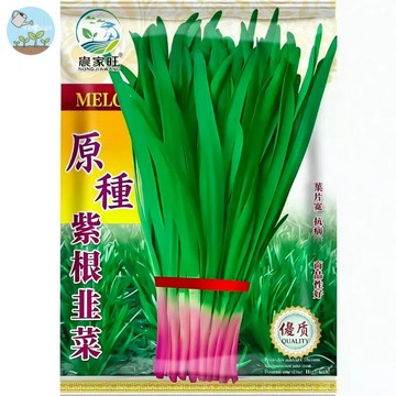 【原廠包裝】紫根韭菜種子（Purple Root Leek）2克裝  紫色根部韭菜 四季可種 抗病強 陽台盆栽