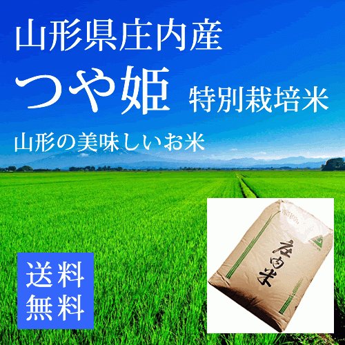 新米 令和5年産 つや姫 山形県庄内産 特別栽培米 玄米 2等米 24ｋｇ