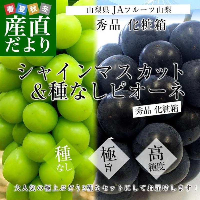 注目ブランドのギフト シャインマスカット ピオーネ ぶどう 山形県上山市産 種無し大粒ピオーネ 秀品 2kg 3〜4房 9月中旬頃から発送 送料込 