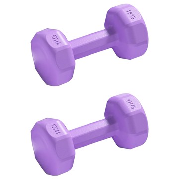 小啞鈴 體育健身03女款小啞鈴 18 x 9 x 10  1kg  2個