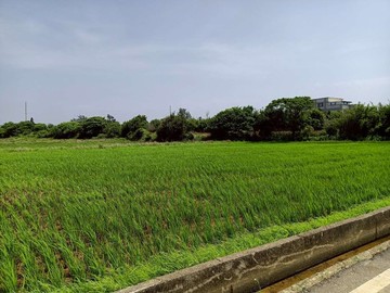 新屋760坪前後路美田｜桃園市新屋區東興路一段