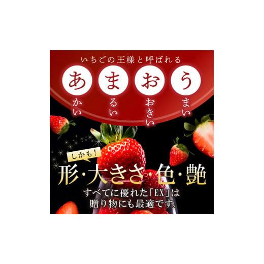 ふるさと納税 福岡県 久留米市  ギフト配送 約450g×2パック EX 福岡県産あまおう〈特別栽培〉