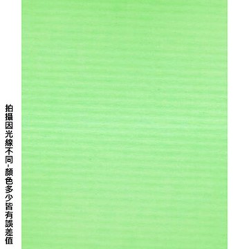 【文具通】台紐A4淺綠色袋入粉彩紙25入A072# P1330249【APP滿額下單10%點數(單一帳號最高5000點)】1/31止
