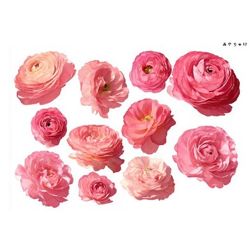 【10月新品4】20-22-0020 裁切紙張・拼貼素材 陸蓮花