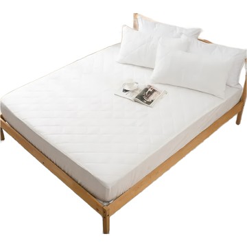 LoveCity 寢城之戀 台灣製馬卡龍炫彩 鋪棉床包式保潔墊  單人  白色