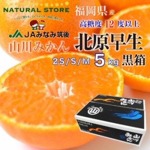 [予約 2024年1月1日必着] JAみなみ筑後 山川みかん 北原早生 黒箱 特選品 5kg 2S-Mサイズ 福岡県産 お正月必着指定 お年賀 御年賀 冬ギフ