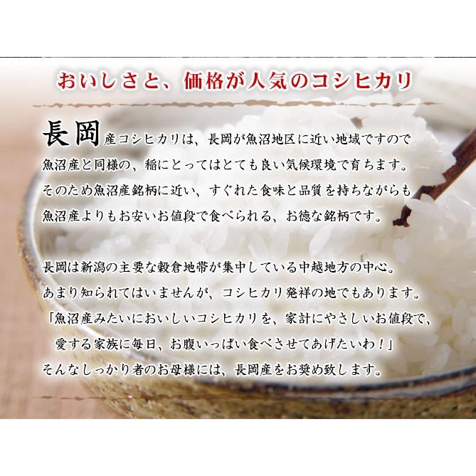 新米 令和5年産 お米 10kg 長岡産コシヒカリ 5kg×2袋  新潟産 送料無料 （北海道、九州、沖縄除く）