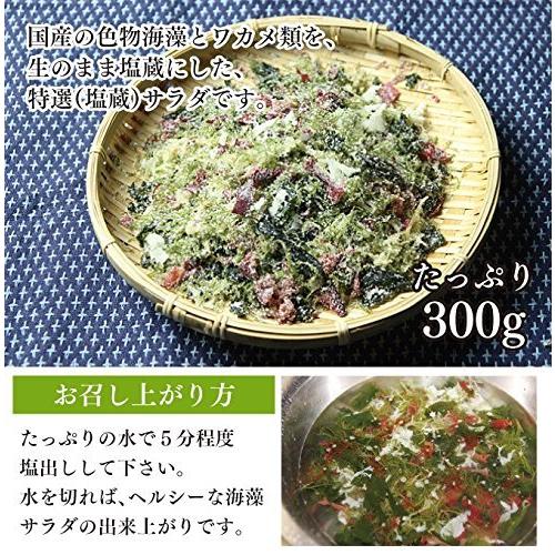 海藻問屋 海藻サラダ 塩蔵 300g 国産 チャック付 色物海藻とワカメ類 生のまま塩蔵