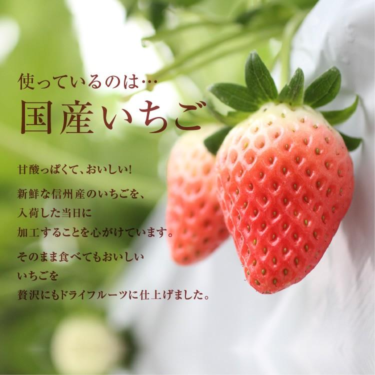 ドライフルーツ 国産 いちご 500g 送料無料 イチゴ ドライいちご 業務用 徳用 おやつ 南信州菓子工房 お菓子作りにも お歳暮