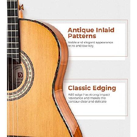 Vangoa Classical Guitar Inch Acoustic Classical Guitar, 36 Inch Junior Size Nylon String Guitar Bundle Kit for Beginner Teens, Cedar Top並行輸入