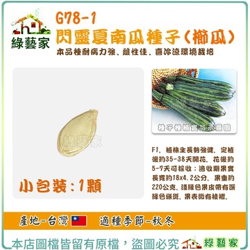 【綠藝家】G78-1.閃靈夏南瓜種子1顆(櫛瓜) F1 植株生長勢強健  半直立至平展型株型 櫛瓜種子 西葫蘆 種子
