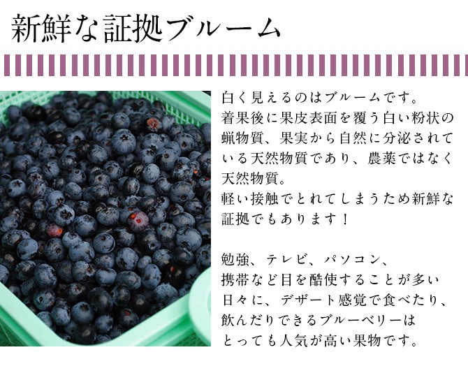 送料無料　国産冷凍ブルーベリー 約1kg×2袋 合計 2kg 山形県産　ブルーベリー　フルーツ　果物　冷凍　食品　2袋セット