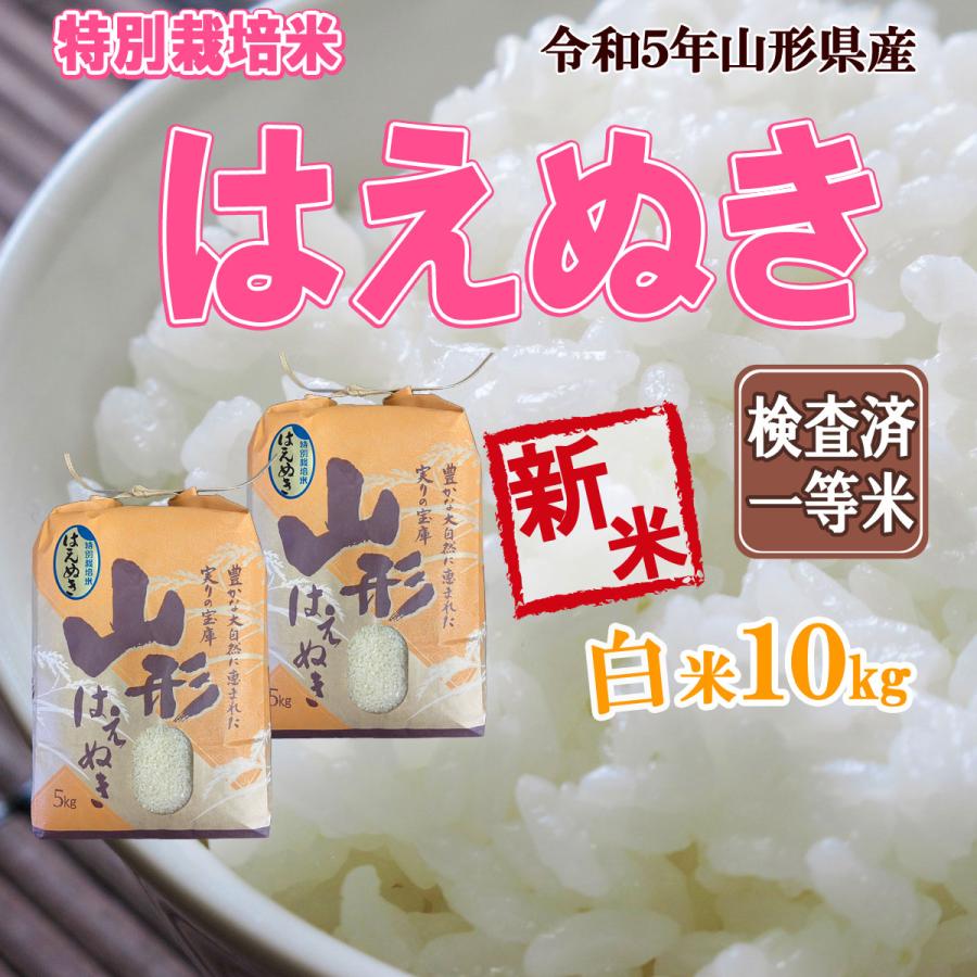 令和5年産 新米 送料無料 山形県産 特別栽培米 はえぬき 白米 5kg×2 十キロ お米 おこめ 白米 はくまい 10kg