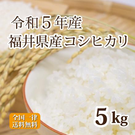 令和５年産 福井県産コシヒカリ 5kg 白米 安い 単一原料米 送料無料