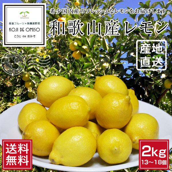 希少国産！ 和歌山産 レモン 2kg ［送料無料］