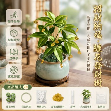 台灣出貨✨ 纏花材料包 仿真發財樹 DIY手工材料組 新手入門教學包 桌面擺飾配件 無花盆石頭款