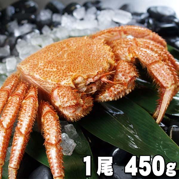 北海道産　毛ガニ　ボイル冷凍 450ｇ×1尾入り 中型　毛がに姿 カニ味噌 かに通販 毛蟹お取り寄せ ギフト