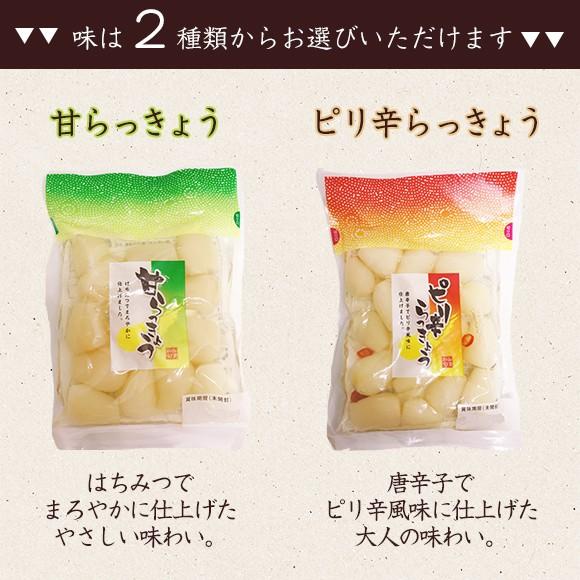 500円 らっきょう らっきょう漬け ラッキョウ ピリ辛らっきょう 甘らっきょう 3種から 選べる 2パック 送料無料 paypay Tポイント消化