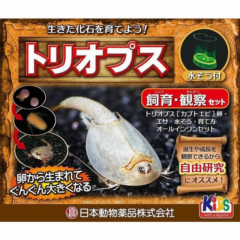 うえむー(飼育係) 4972547037794.jpg