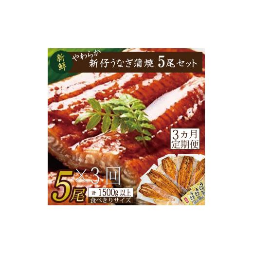 ふるさと納税 茨城県 行方市 AD-108　やわらか新仔うなぎ食べ切りサイズ100〜120g　5尾×3回　計1500ｇ以上