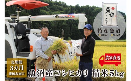 農家直送！ 魚沼産 コシヒカリ 精米 5kg 3ヶ月 連続お届け（ 米 定期便 こしひかり お米 こめ コメ 魚沼産コシヒカリ 魚沼 新潟 魚沼産こしひかり おこめ 白米 定期 お楽しみ 3回 ）