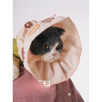 PATTHEBOO伊麗莎白圈貓咪項圈可調節脖圈幼貓防舔防咬可愛飾品