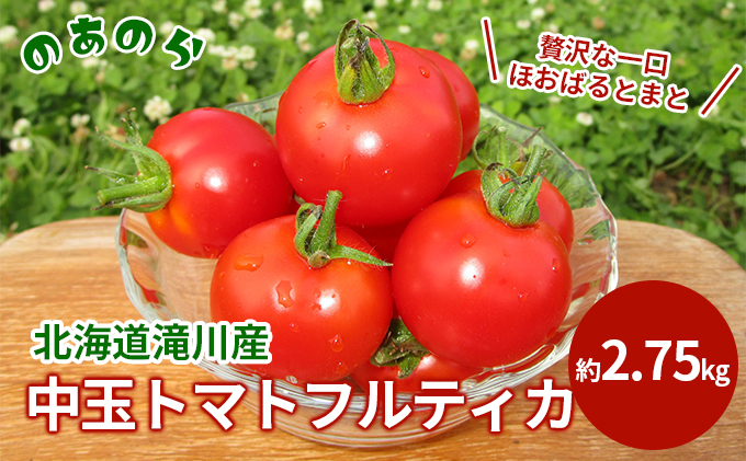 贅沢な一口ほおばるとまと( 北海道 滝川市 産中玉トマトフルティカ)2.75kg トマト 野菜 やさい フルティカ 中玉トマト