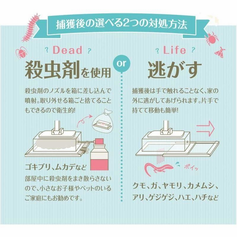 家虫キャッチャー 逃がすことも殺虫剤も使える捕虫器ゴキブリ クモ ガ等どんな虫にも使える捕獲器 箱 透明柄 白 通販 Lineポイント最大0 5 Get Lineショッピング