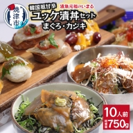 a10-981　まぐろ＆かじきの甘辛ユッケ漬丼の具 セット10P入