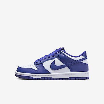 Nike Dunk Low GS FB9109-106 大童 休閒鞋 運動 經典 低筒 舒適 穿搭 藍紫