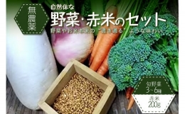 ＜京都産＞野菜と赤米のセット