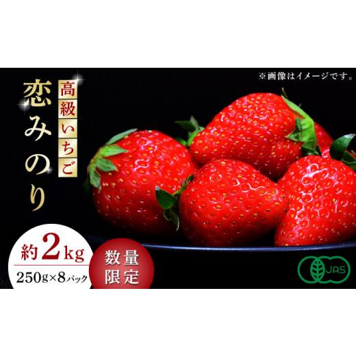 ふるさと納税 熊本県 山鹿市 高級 いちご 恋みのり 約2000g（250g×8pc） イチゴ いちご 苺 熊本県  [ZBB007]