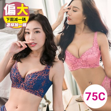 【75C優惠組】內衣 手捧胸一代 全罩調整型包覆款(奢華藍+粉色)