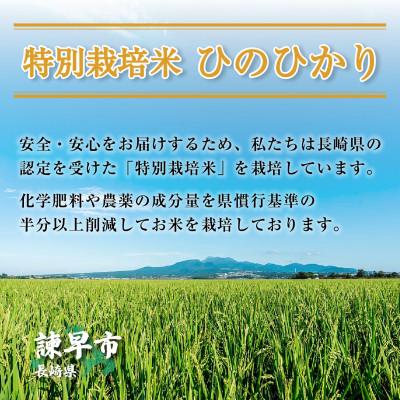 ふるさと納税 諫早市 長崎県認定特別栽培米ひのひかり10kg