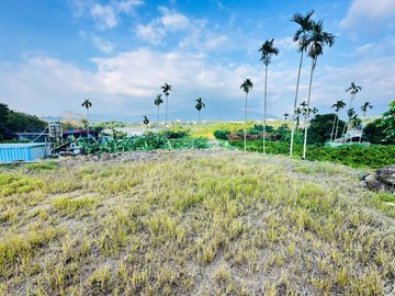 陳依佳蜜件~~南村田+建｜南投縣埔里鎮南村段